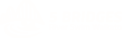 5 Bridges River Swim